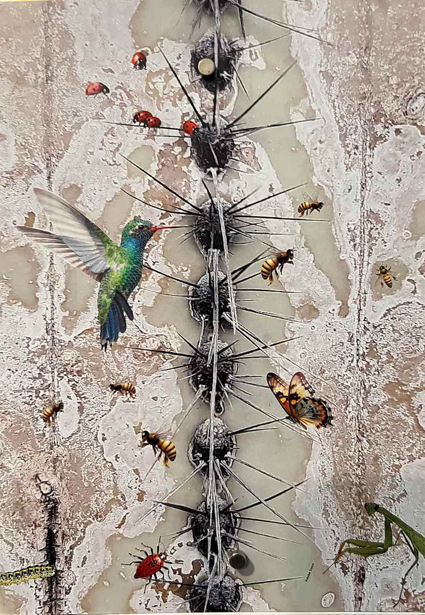 Agave & Hummer by Wendy Tigerman, Image 1.