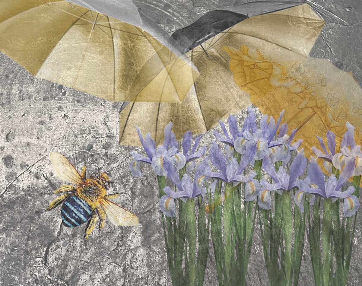 Aussie Spring by Wendy Tigerman 