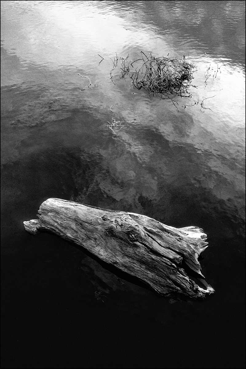 Guadalupe South, What lurks beneath? by Louis Balicki 