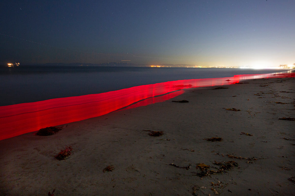 Beach Fence by Thomas Wheeler 