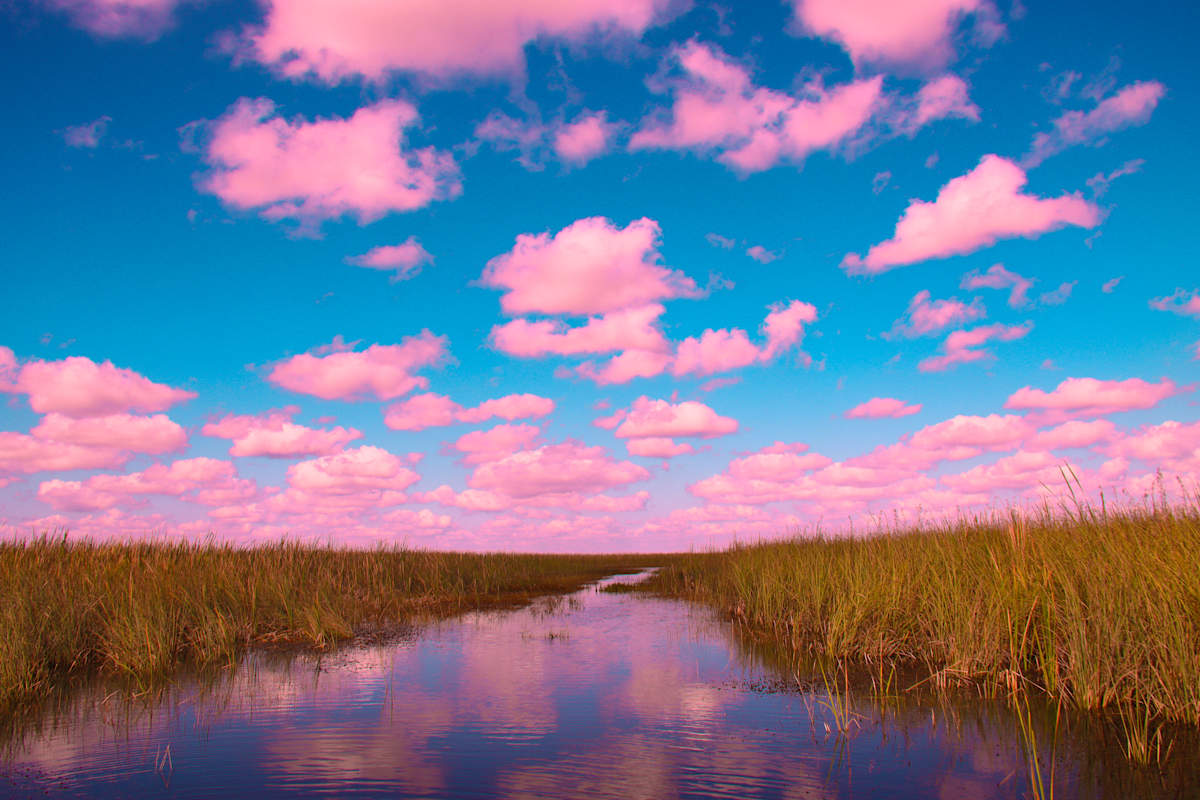Blushing Horizons by Diane Lamboley, Image 1.