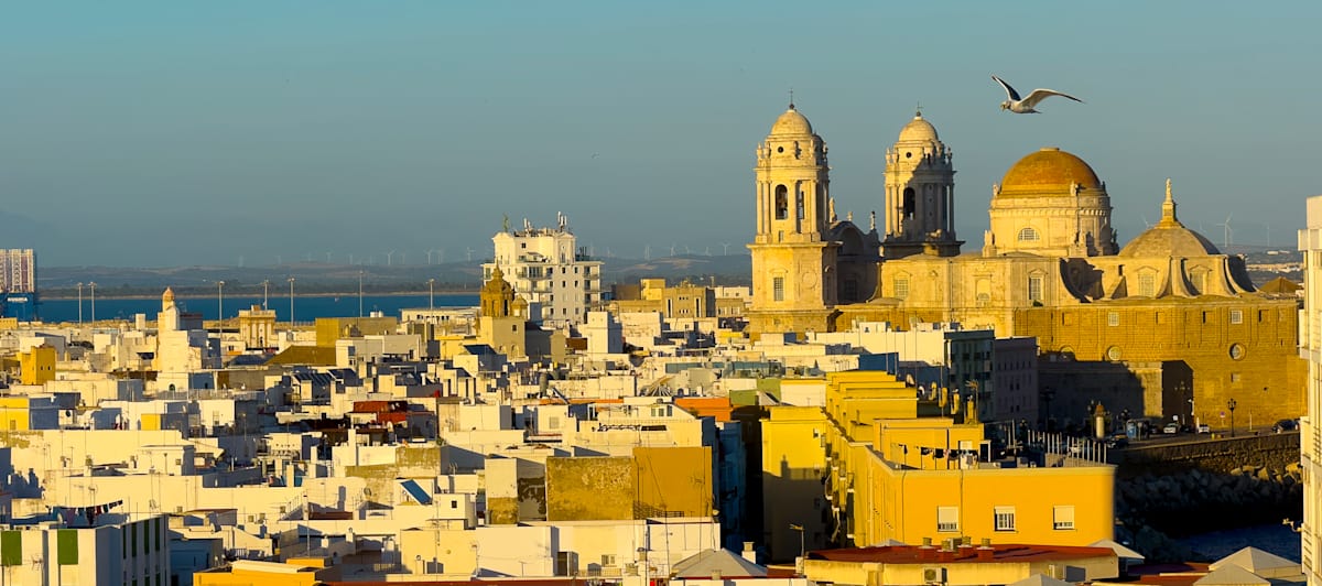 Cathedral Panorama with Seagull by Lee Cooper 