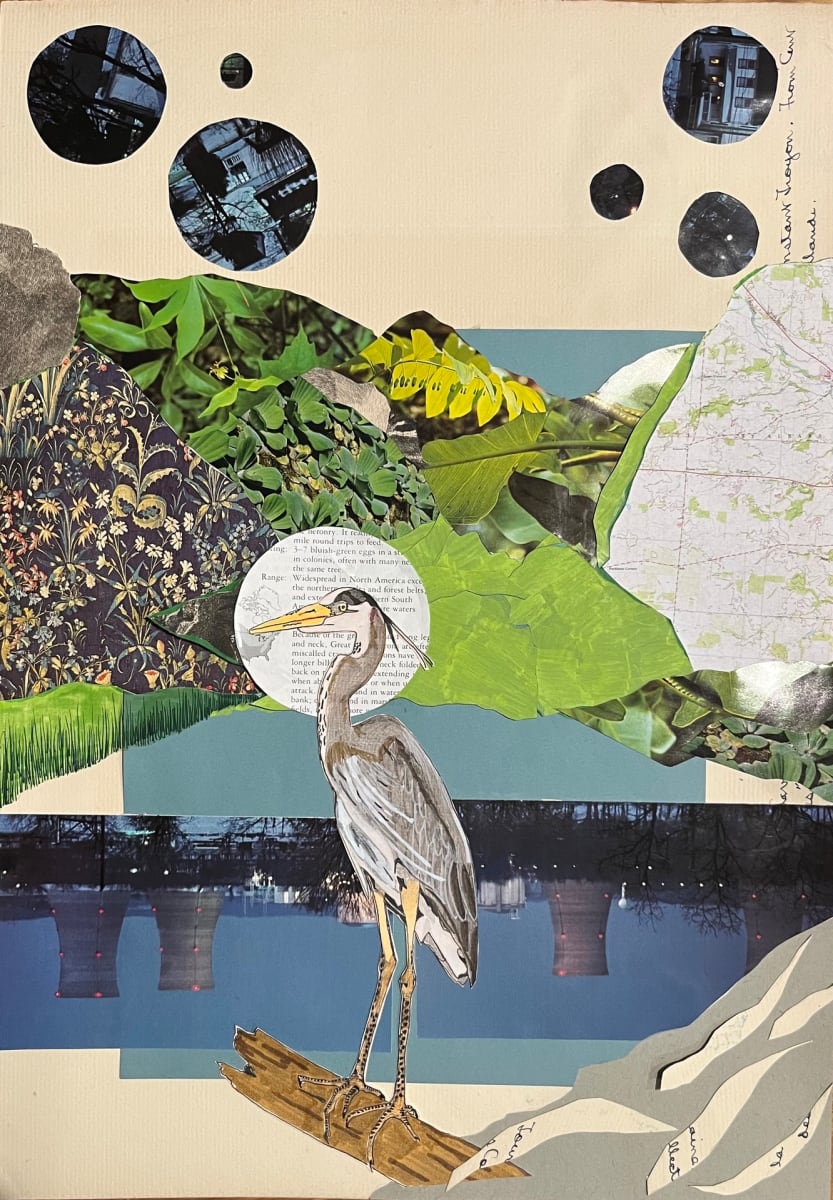 Susquehanna by Molly Cairney 