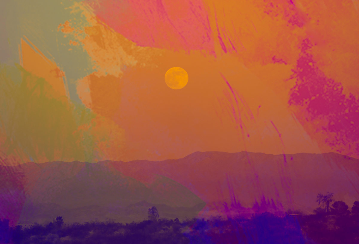 Citrus Moonshine by Diane Lamboley, Image 1.