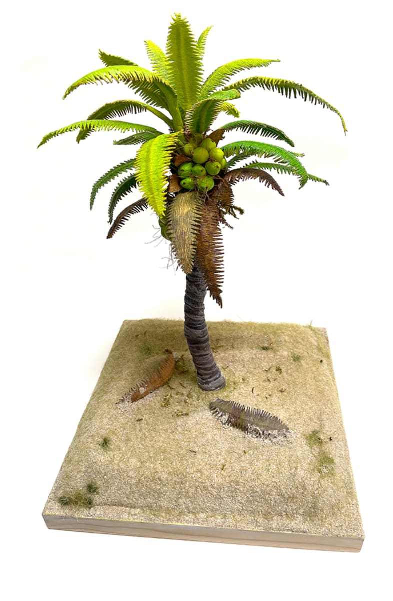 Coconut Palm tree by Gary Polonsky 