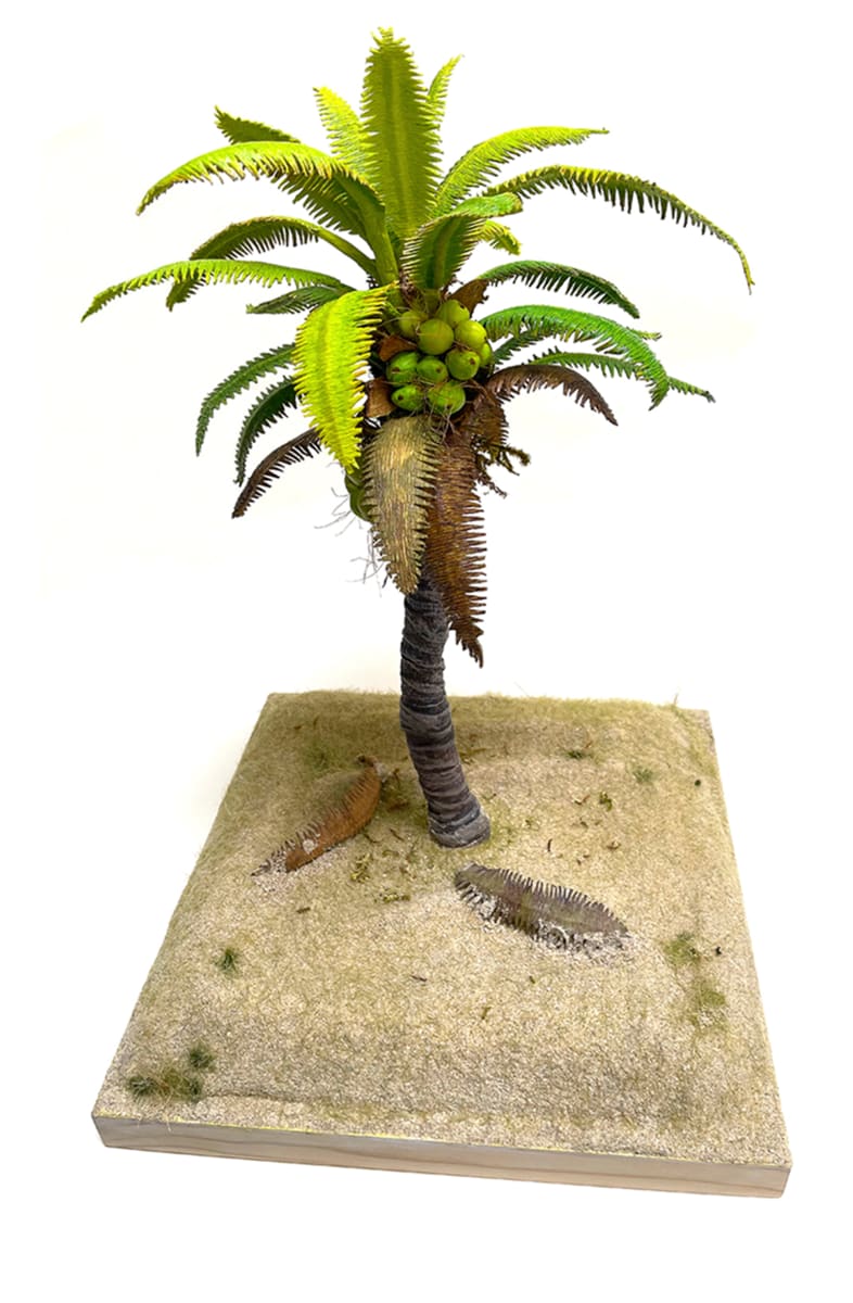 Coconut Palm tree by Gary Polonsky, Image 1.