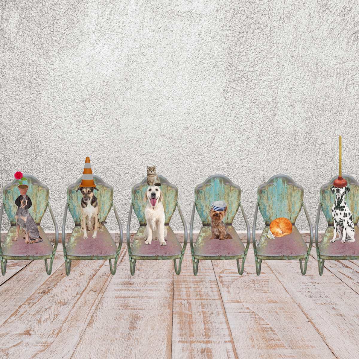Dogs on Chairs with Hats by Wendy Tigerman 
