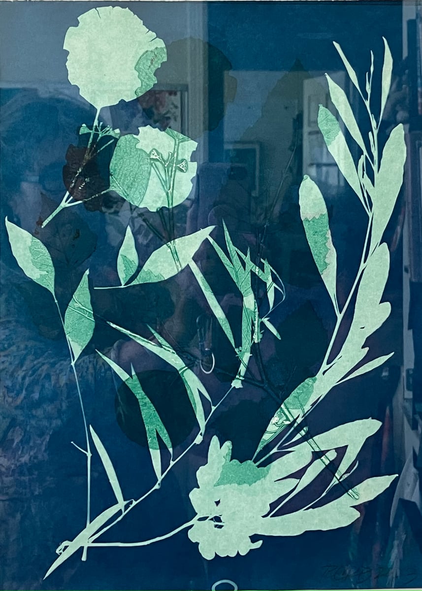 Eucalyptus #2 by Rhonda Burton, Image 1.
