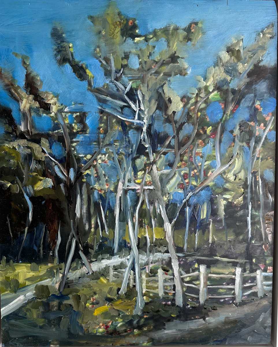 Fence by Robert Zent Chew 