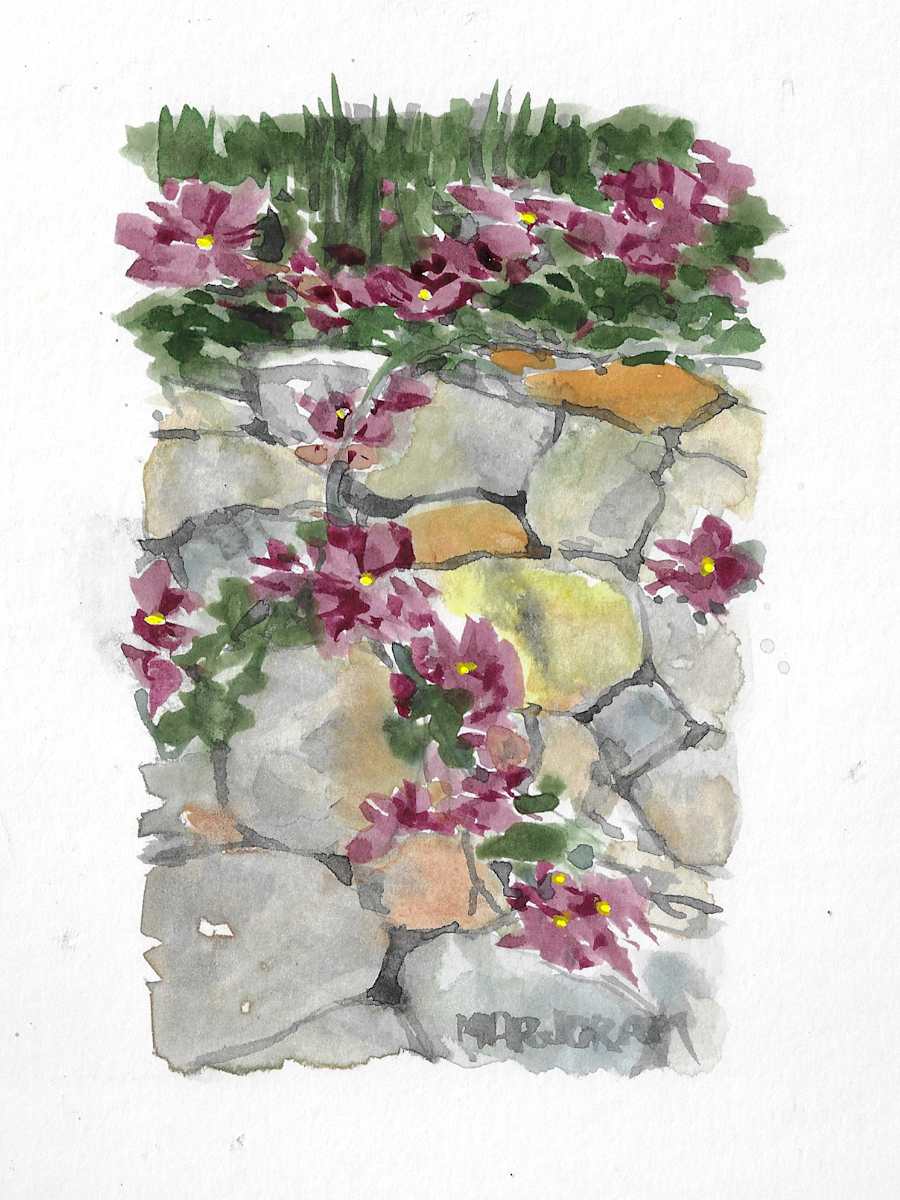 Fieldstone, Favignana by Ernie Marjoram 