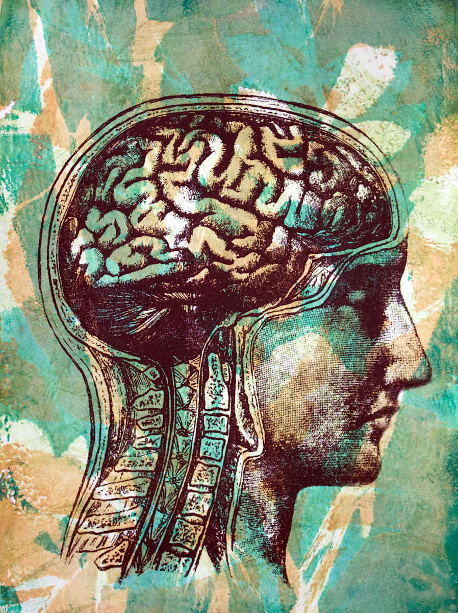 Root Brain by Karen Fiorito, Image 1.