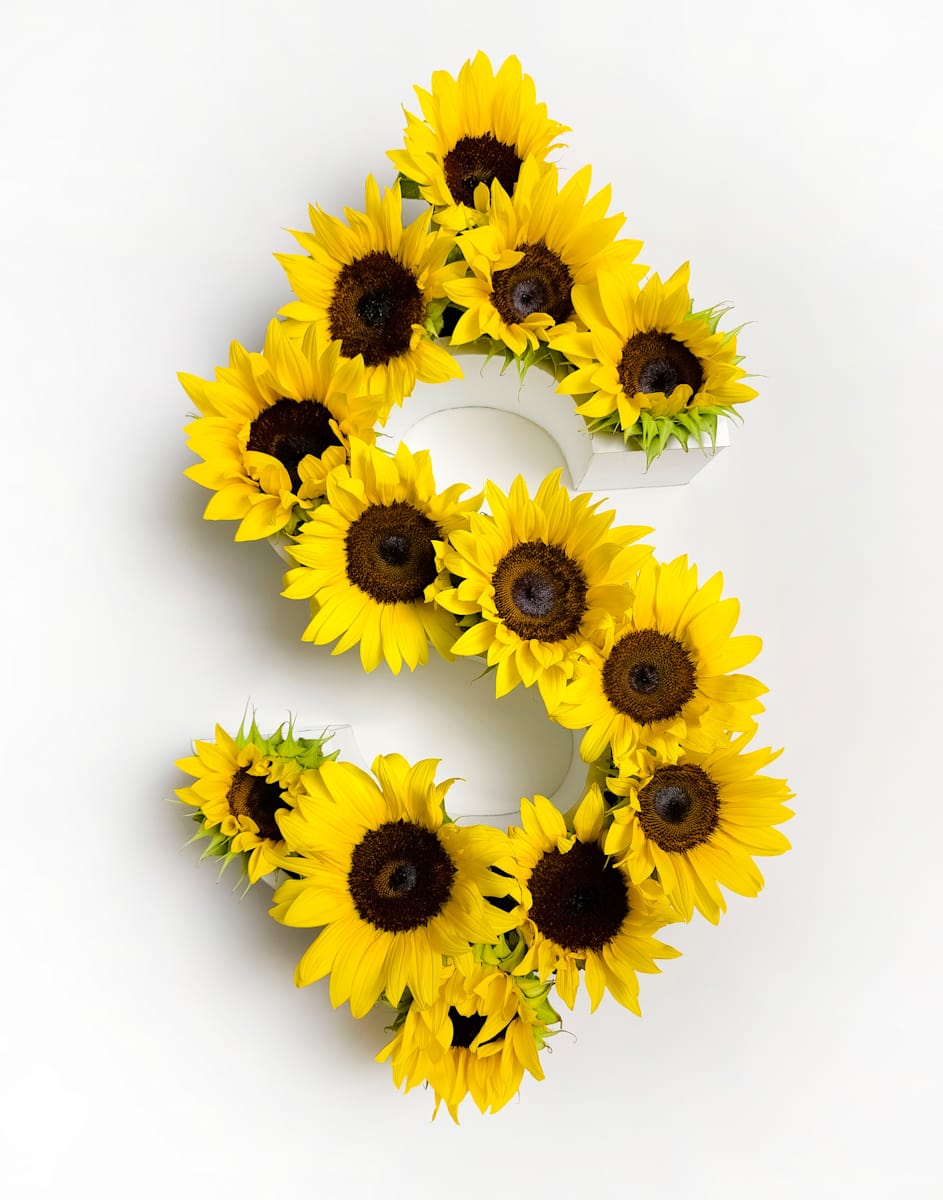 "G4" by Oxana Akopov, Image 1.