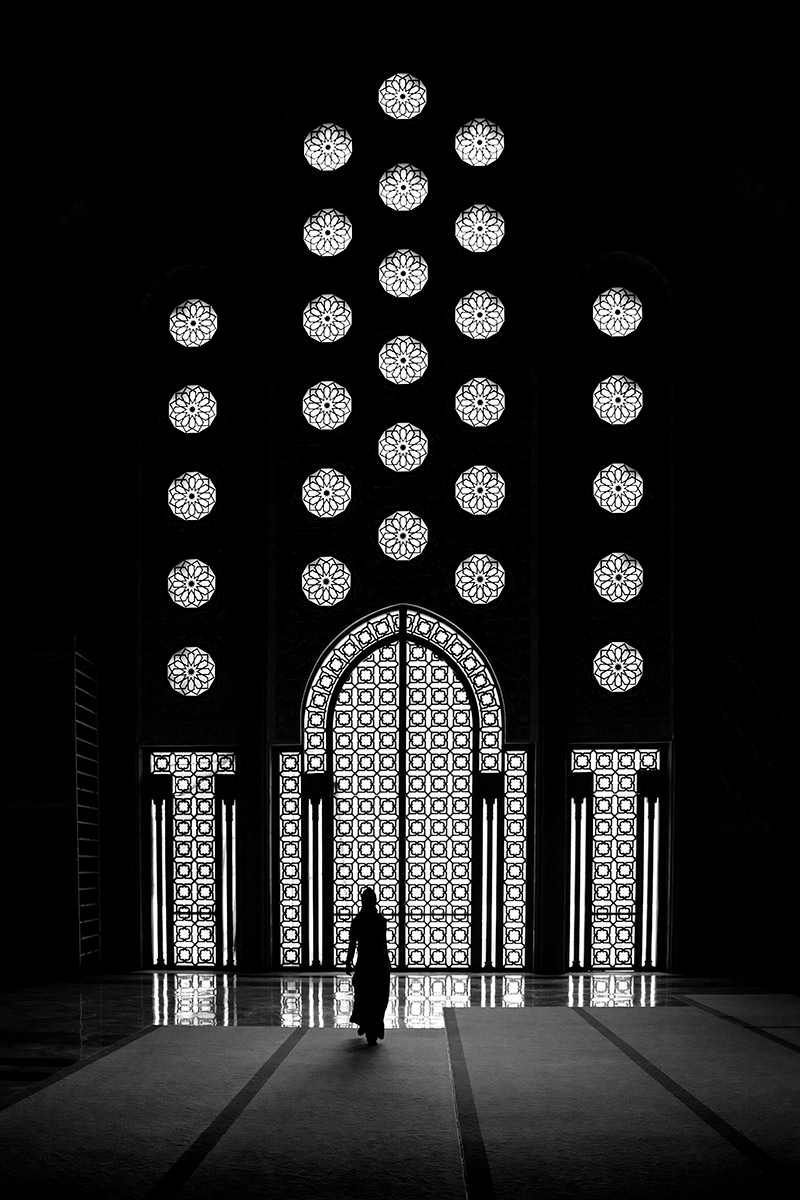 Hassan II by Eric Renard 