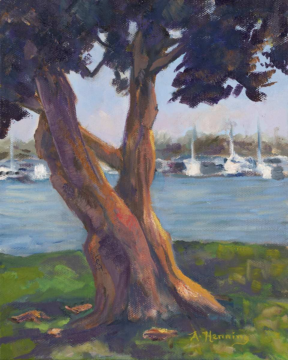 Burton Chace Park by Andrew Henning, Image 1.
