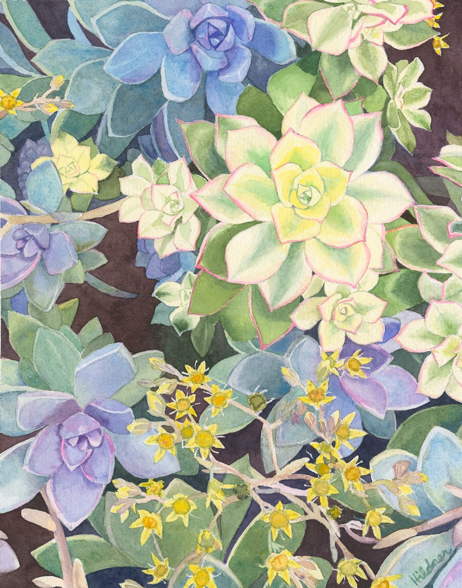 Succulent Mix by Kelly Hildner 