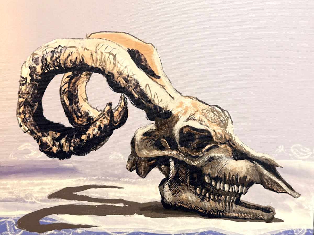 Ram Skull by David Stewart Klein, Image 1.