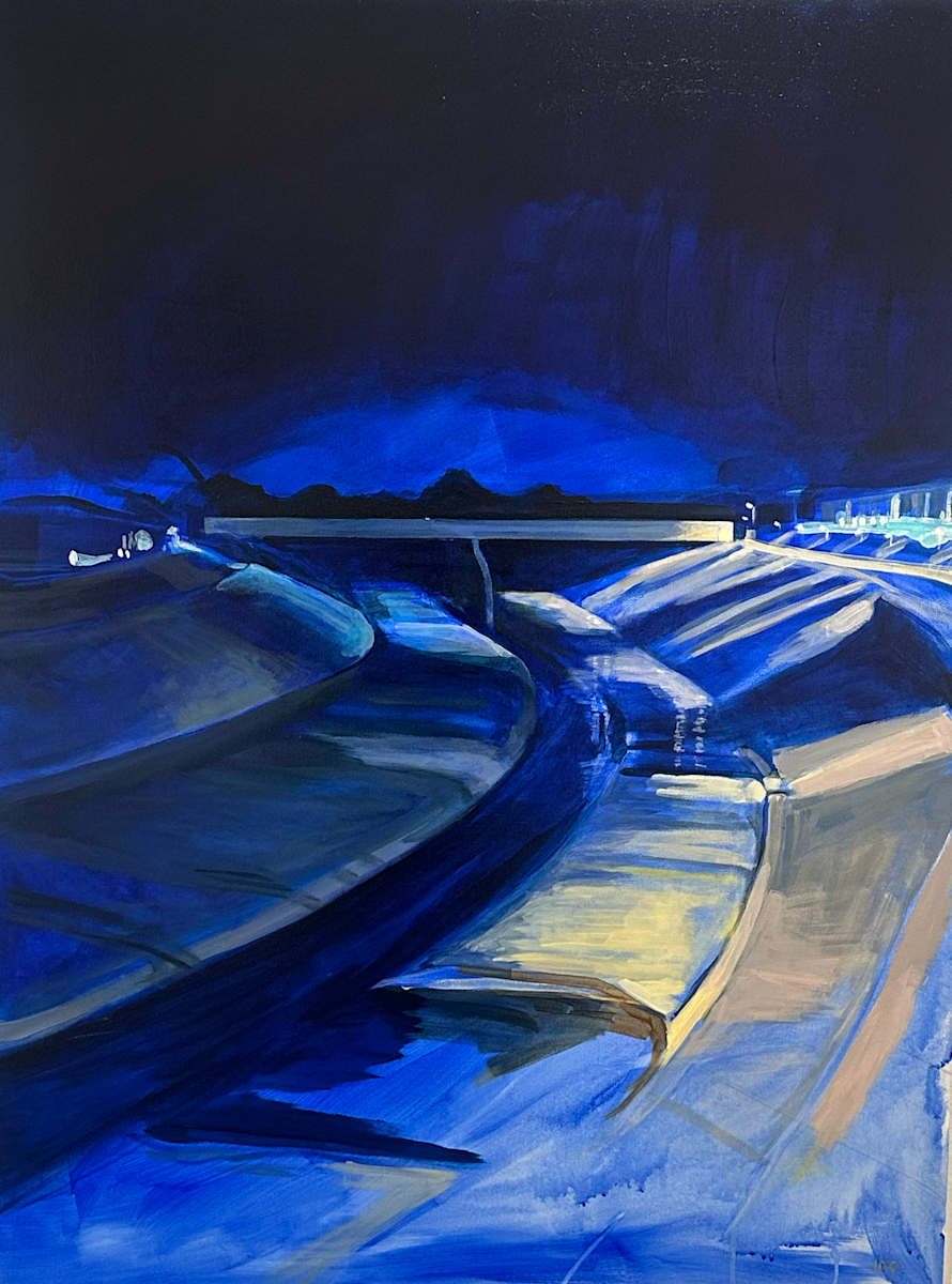 Dark Tampa by Jackie Goldberg, Image 1.