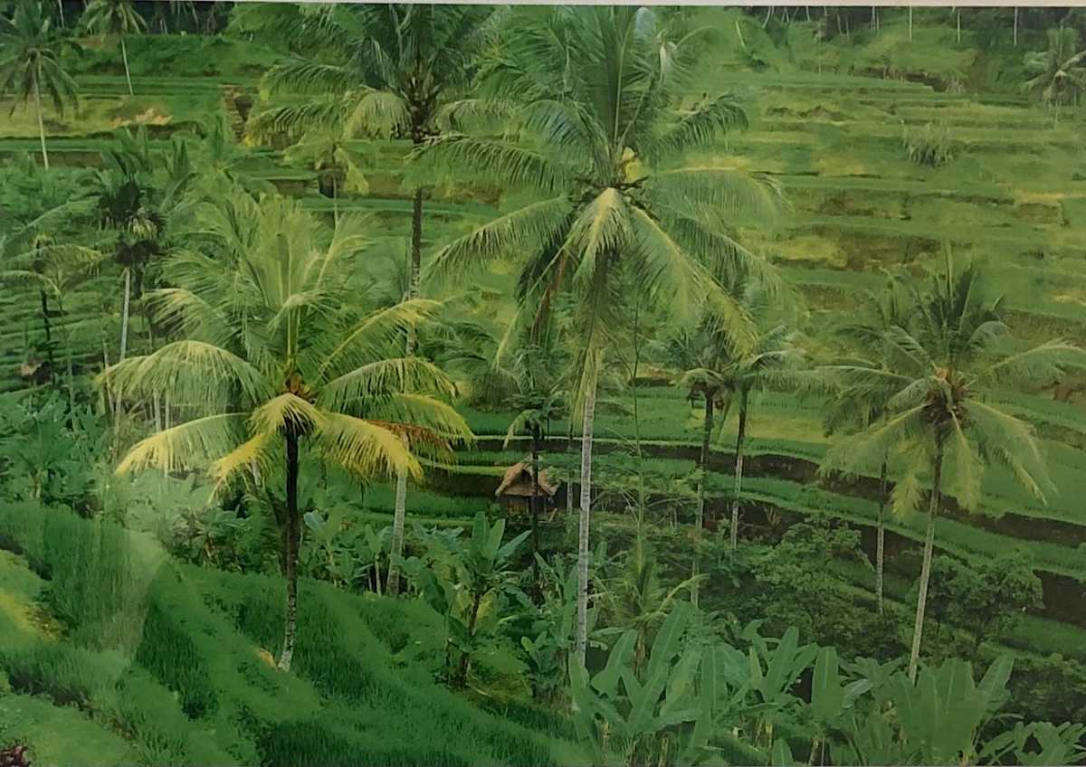 Bali by Michael Becker 