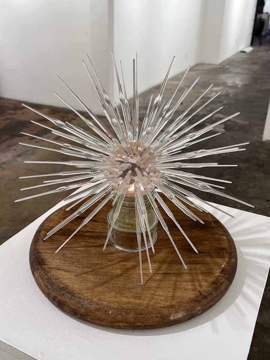 Urchin by Don Paglia, Image 2.