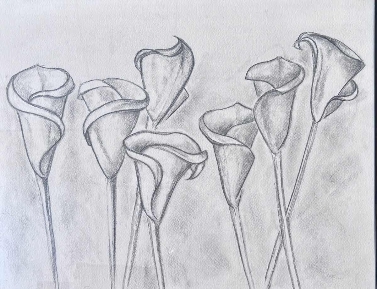 7 Callas in Black & White by David Phelps 