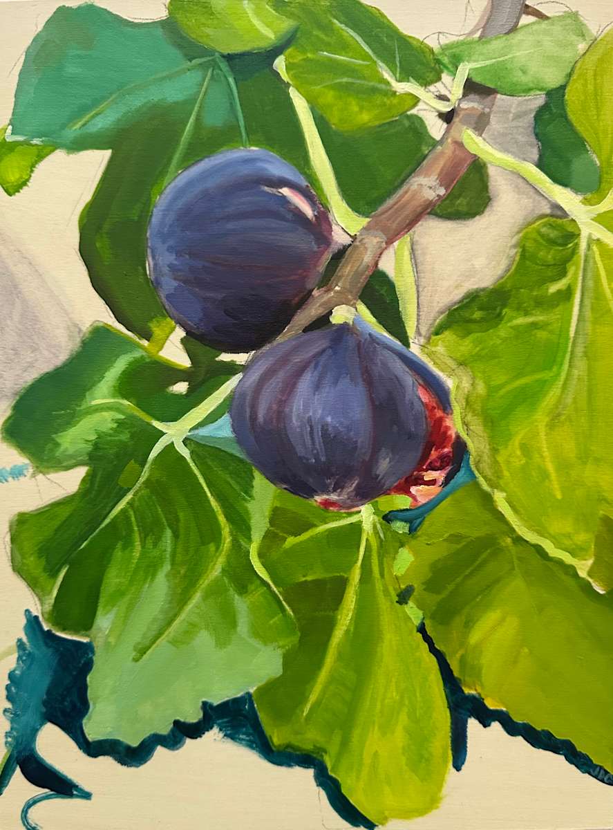 Garden Figs by Jackie Goldberg, Image 1.
