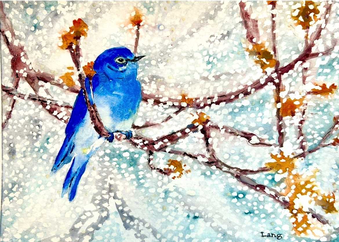 Bluebird In The Snow by David Lang, Image 1.