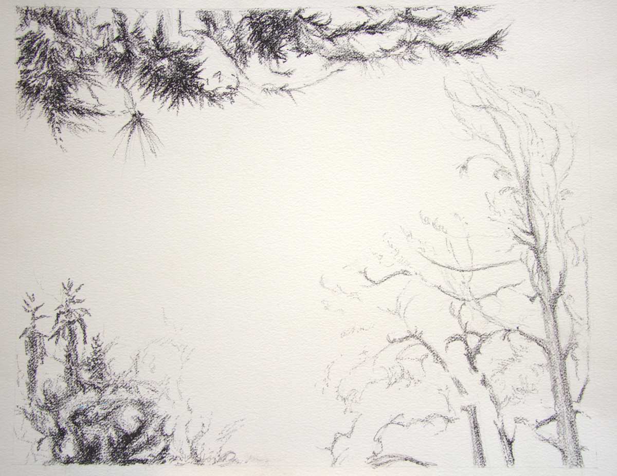 Light Tree by Victoria Loschuk, Image 1.