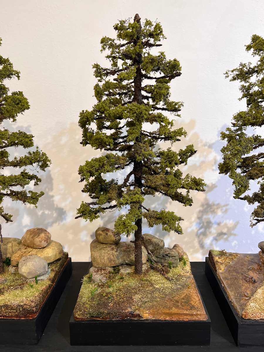 3 Pine trees (B) by Gary Polonsky, Image 2.