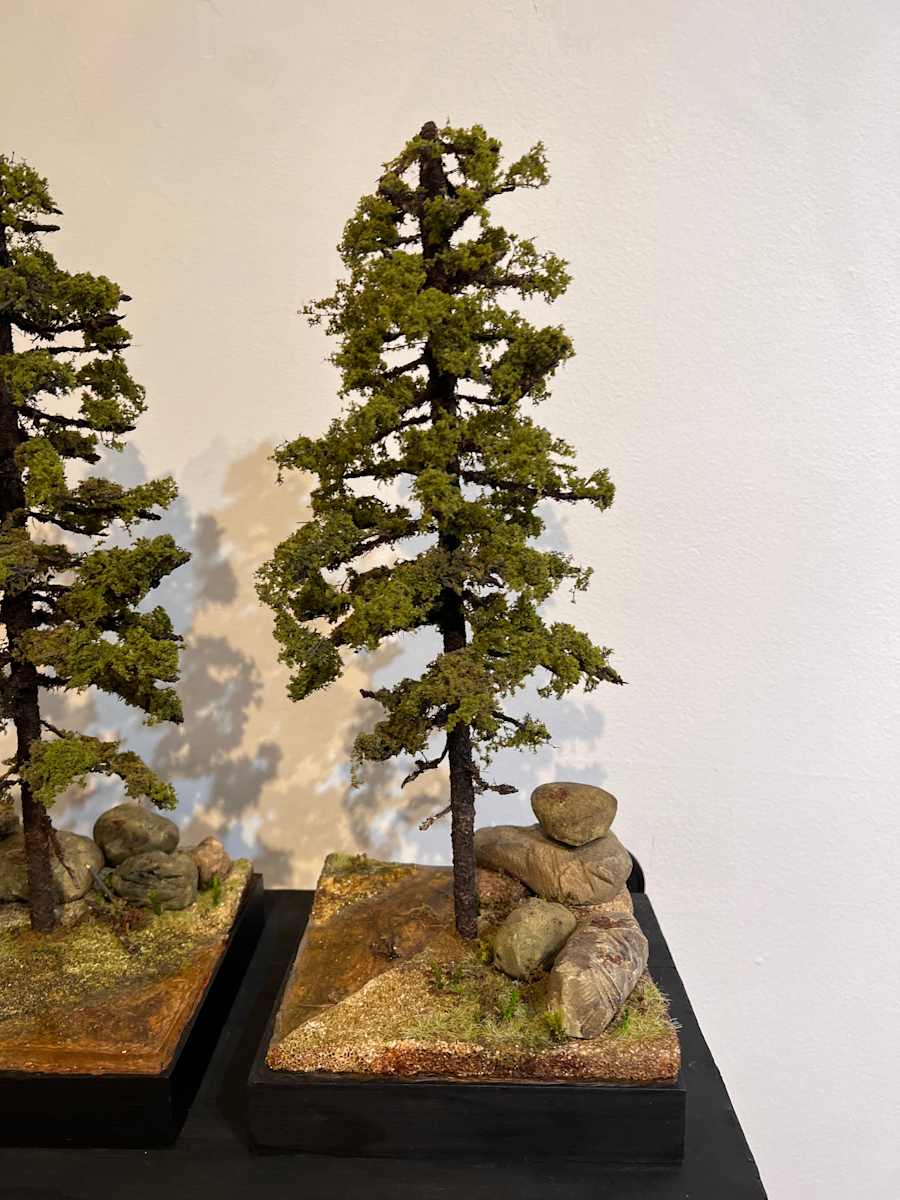 3 Pine trees (C) by Gary Polonsky, Image 2.