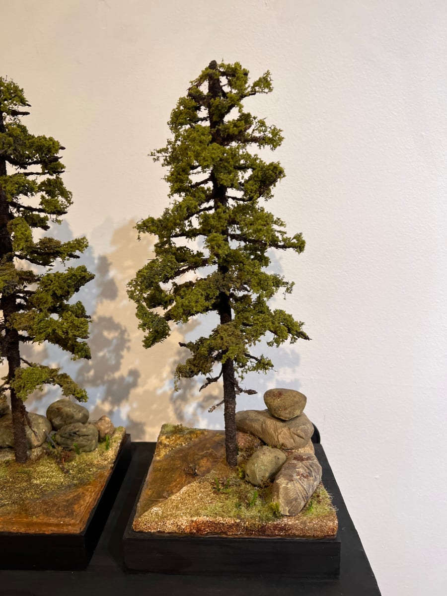 3 Pine trees (C) by Gary Polonsky, Image 2.