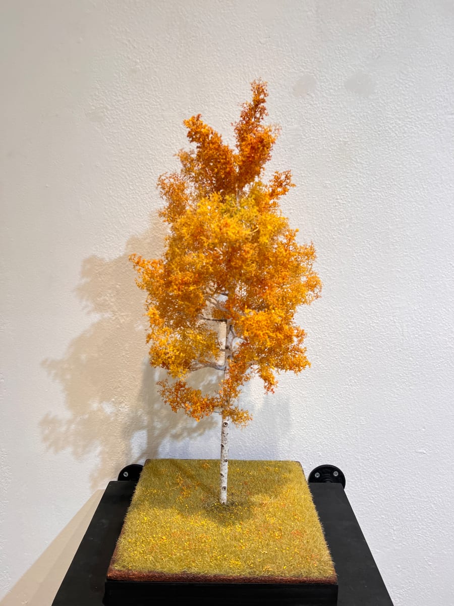 27" Aspen Tree by Gary Polonsky, Image 1.