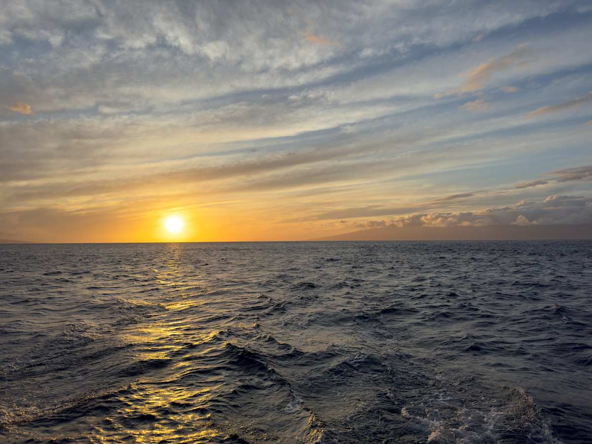 Maui Sunset 1/100 by Lee Cooper, Image 1.