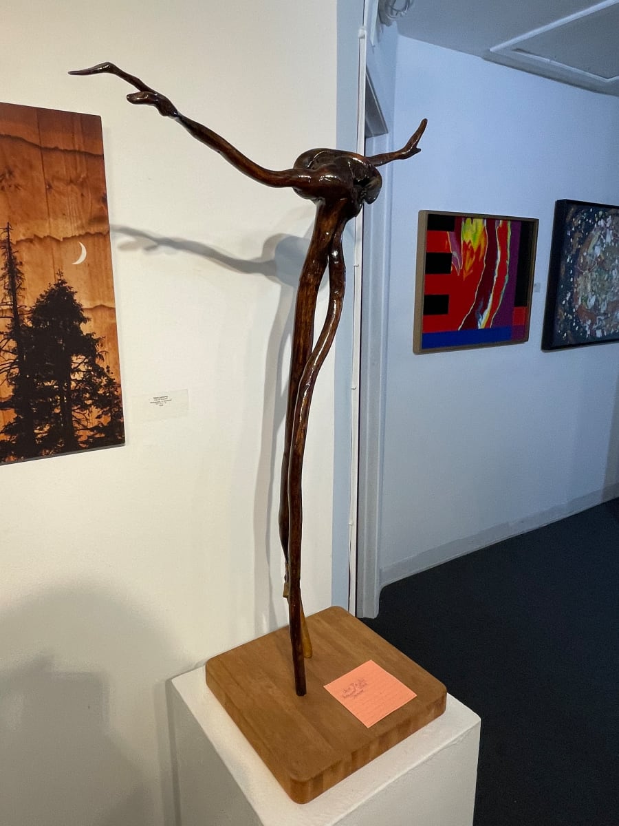 Branch Dancer by Don Paglia, Image 1.