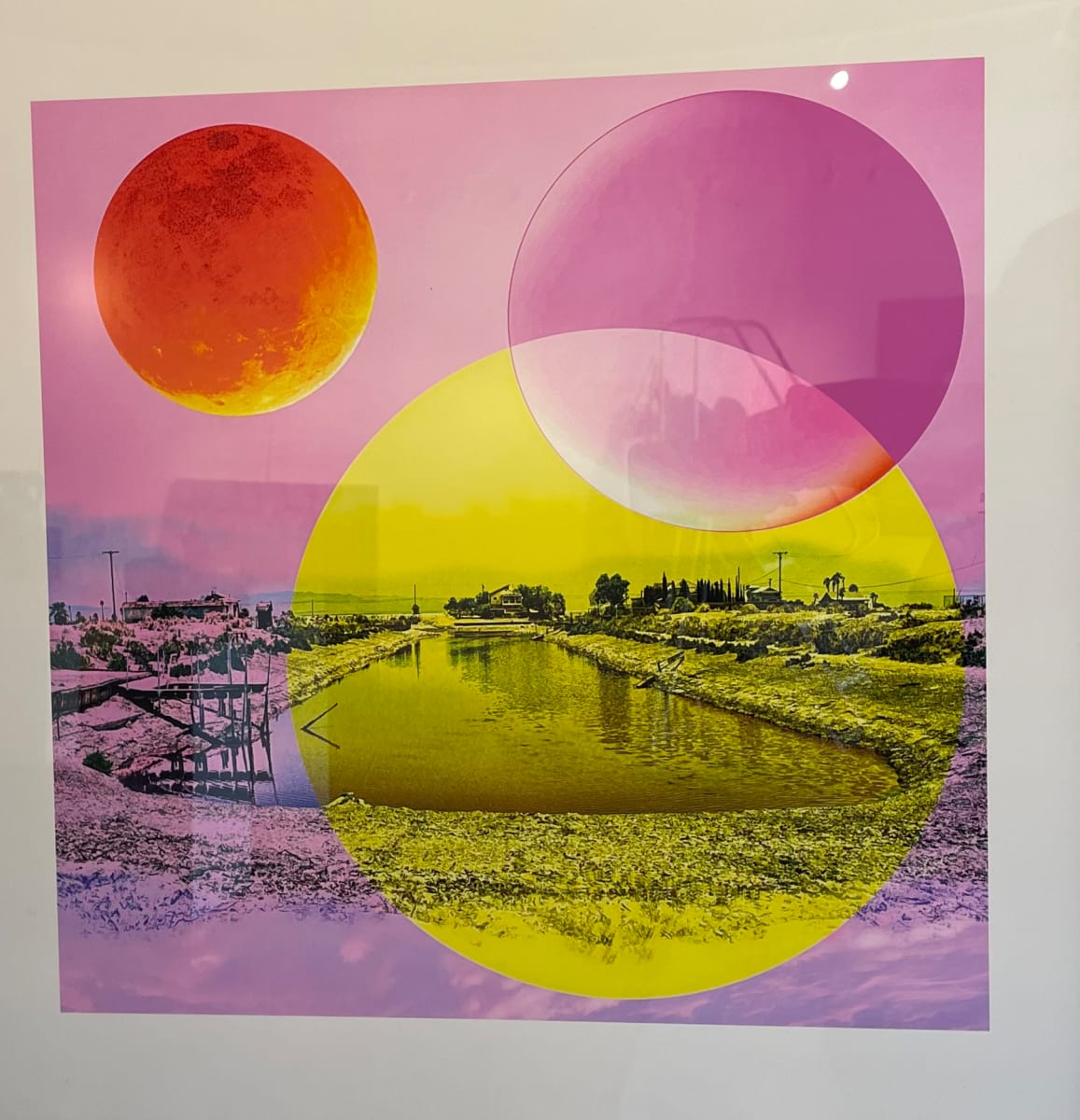 Transitions by Janet Milhomme 