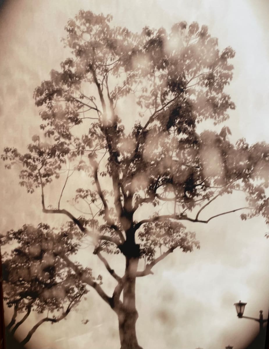 Hiroshima Screen by Karen Safer 