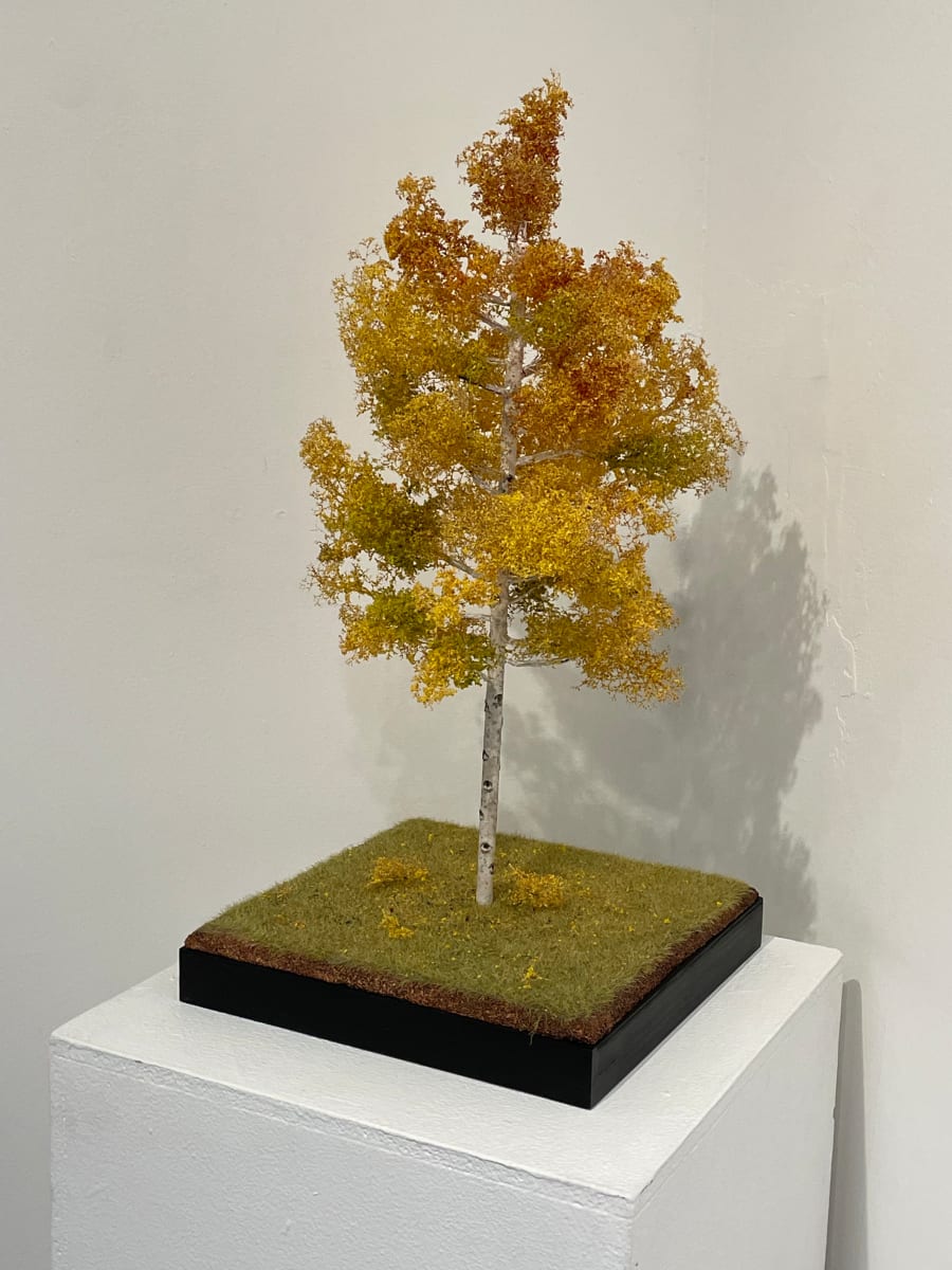 24" Aspen Tree by Gary Polonsky, Image 1.