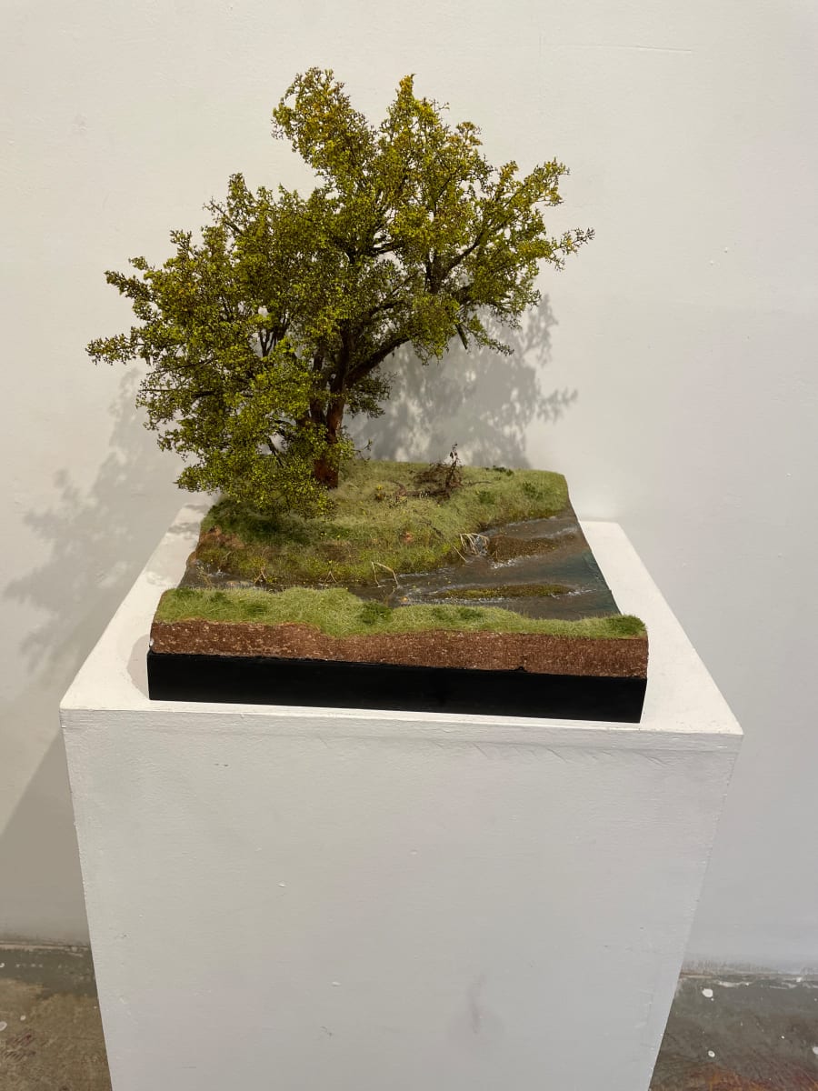 Cottonwood Tree by Gary Polonsky, Image 1.