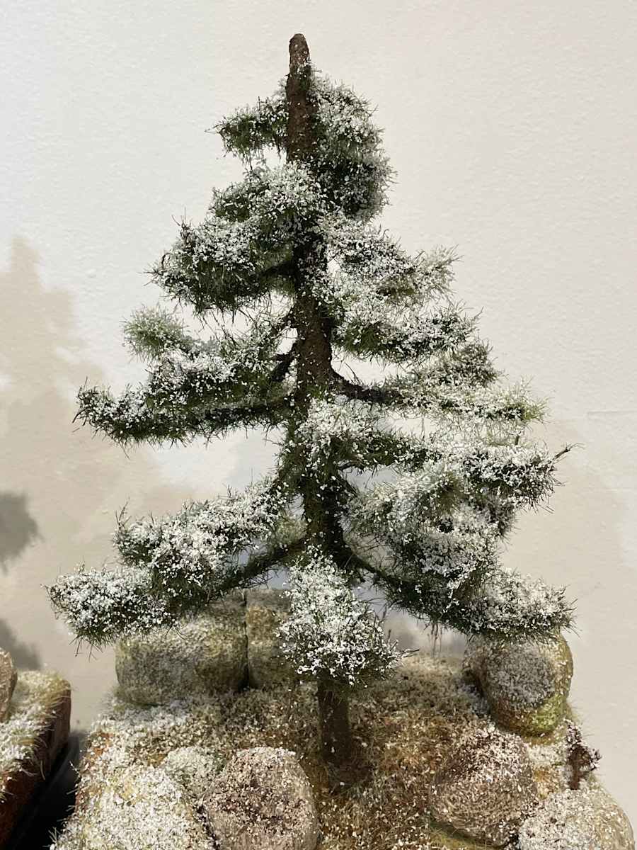 First Snow Pine Tree (A) by Gary Polonsky, Image 1.