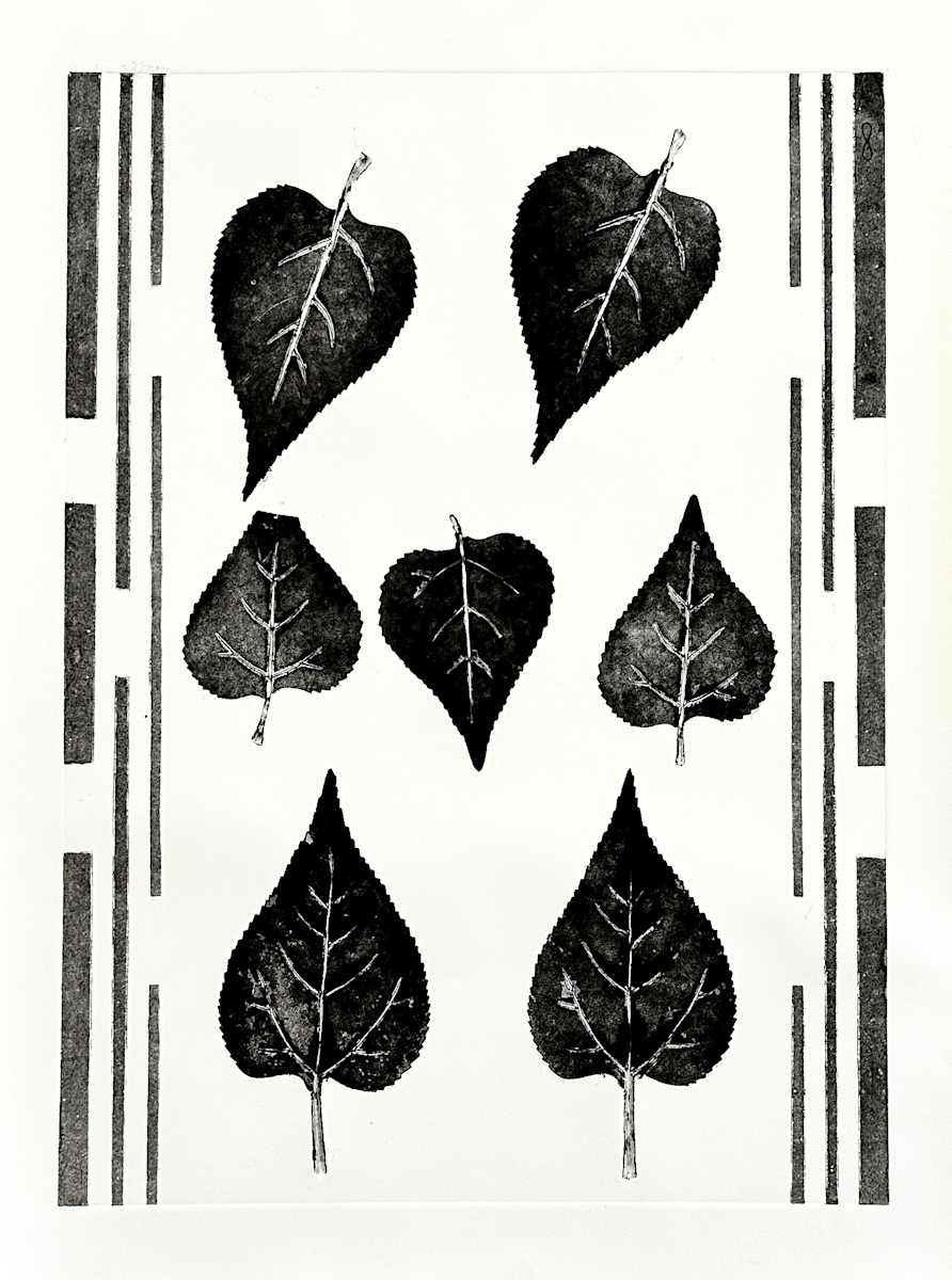 High Contrast by Susan Spector 