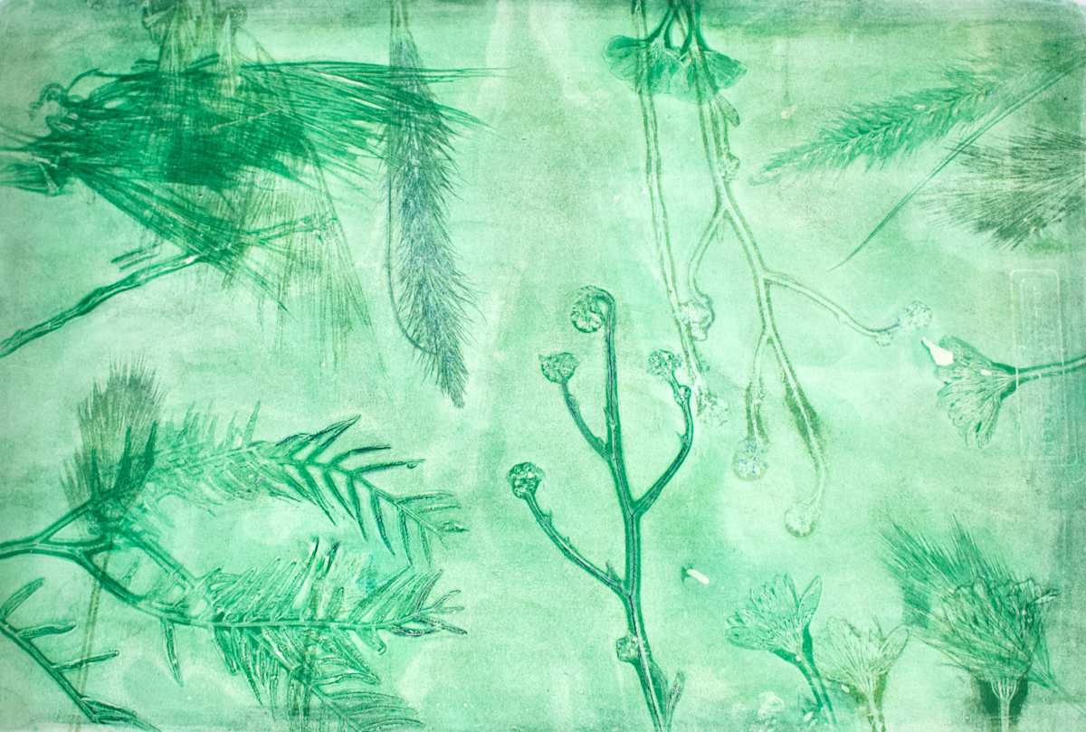 In the Weeds 1 by Karen Fiorito, Image 1.