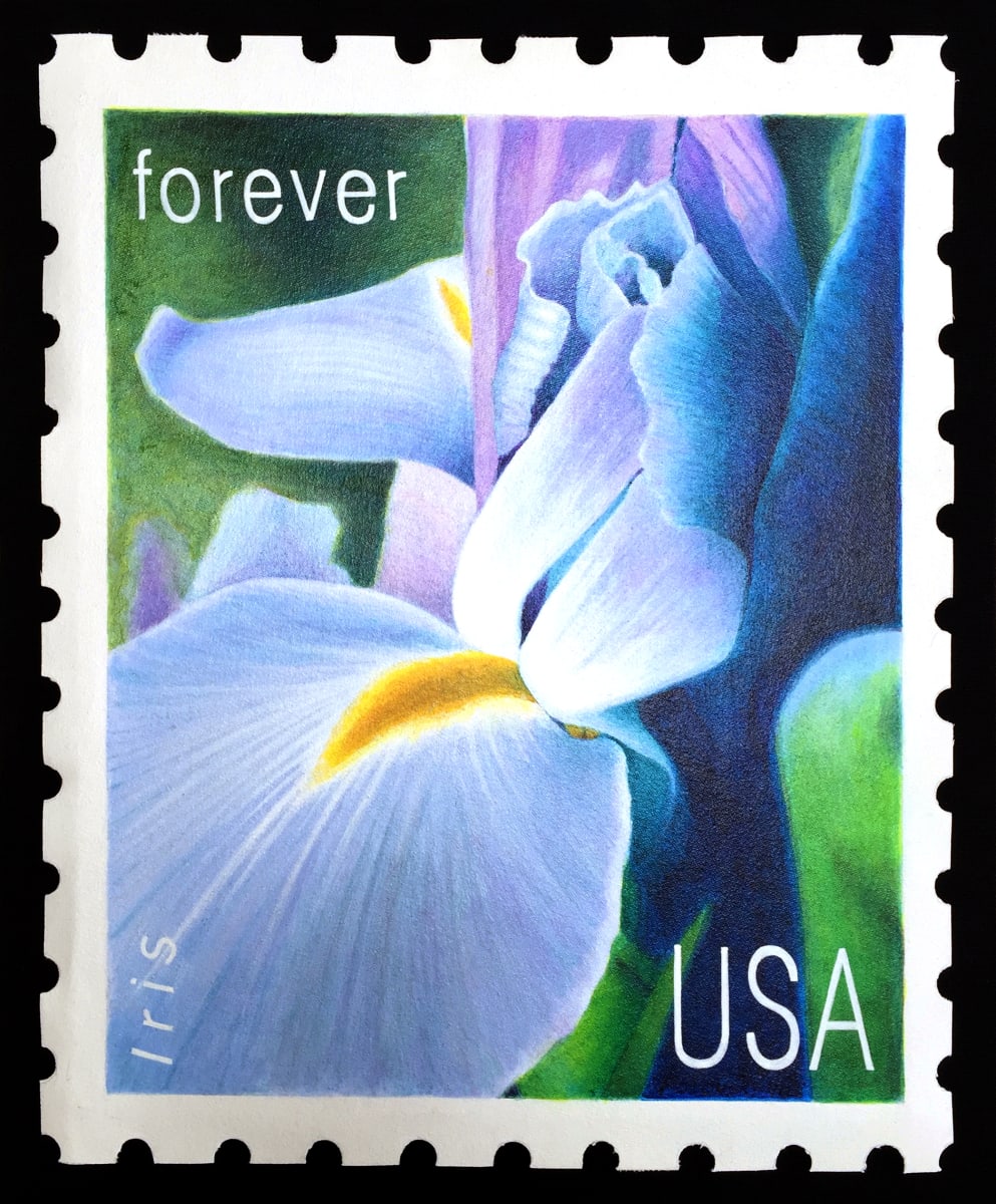 Iris by Gary Polonsky 