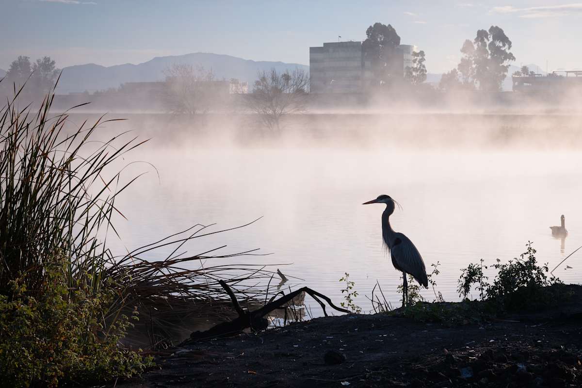 Life near the interstate by Joe Doherty, Image 1.