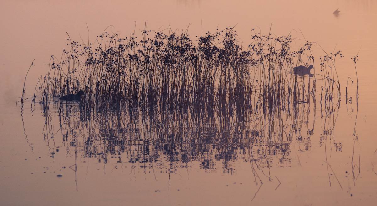 Pre-dawn glow by Joe Doherty, Image 1.