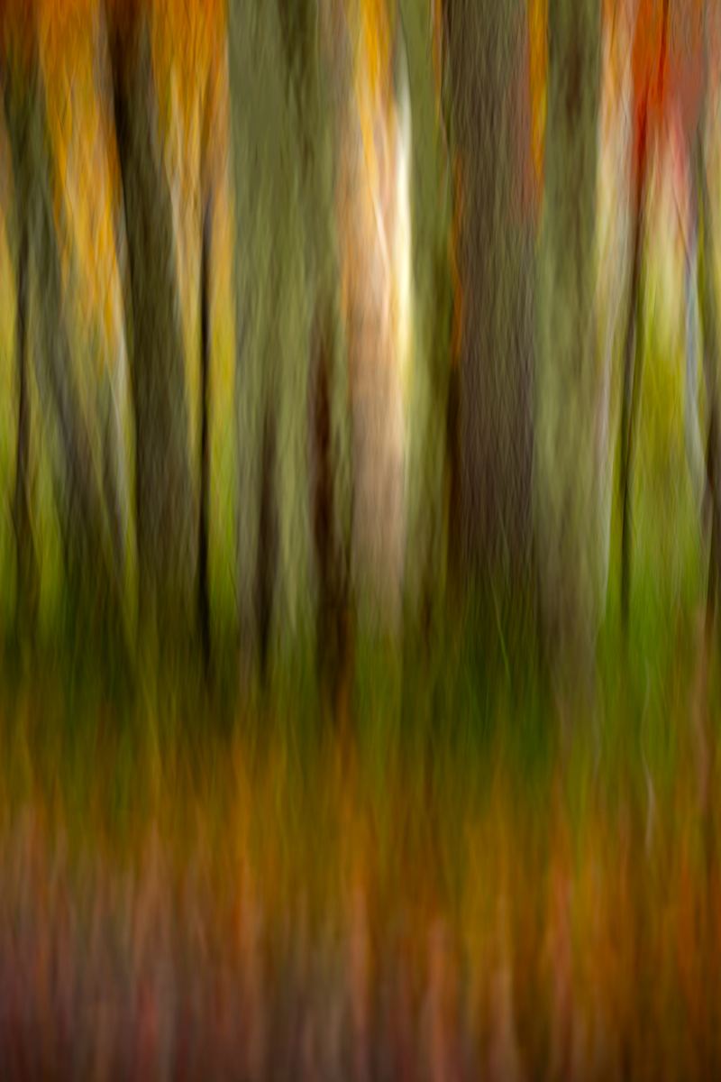 To to the light by Joe Doherty, Image 1.