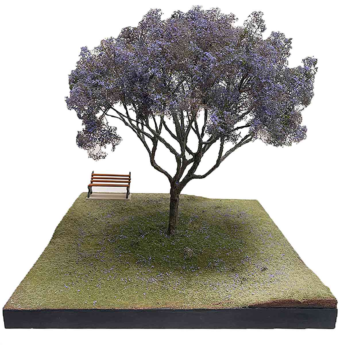 Jacaranda tree by Gary Polonsky, Image 1.