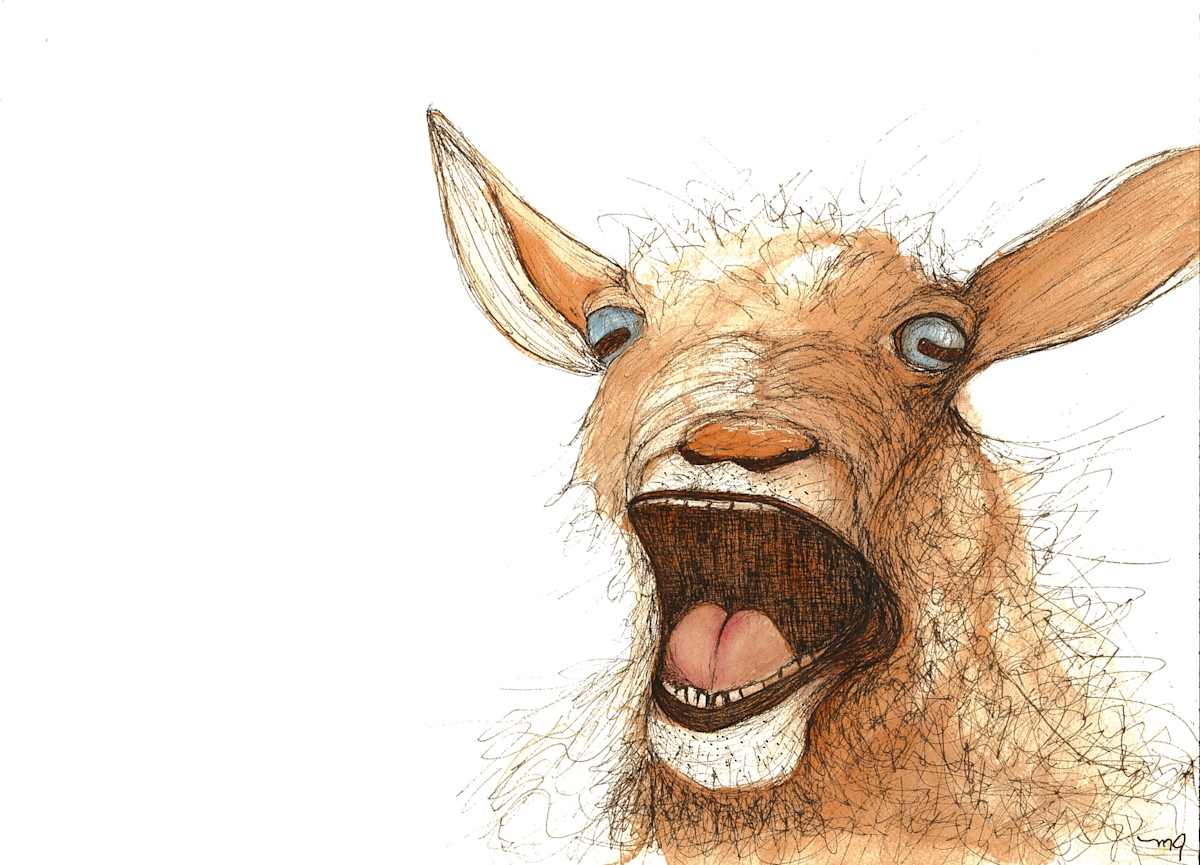 Screaming Goat by Melissa Jacobi, Image 15.
