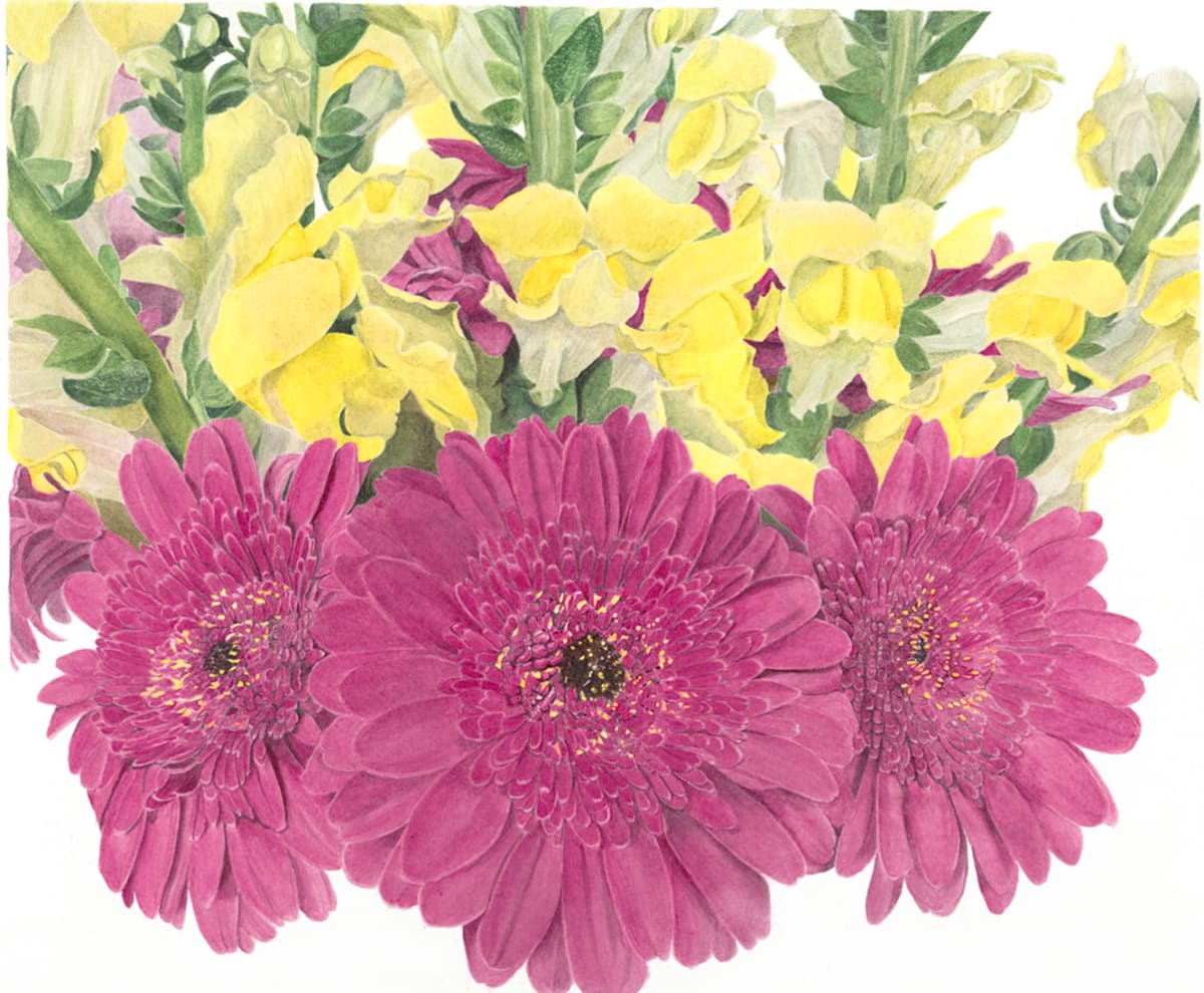 Gerber Daisies and Snapdragons by Sally Jacobs 