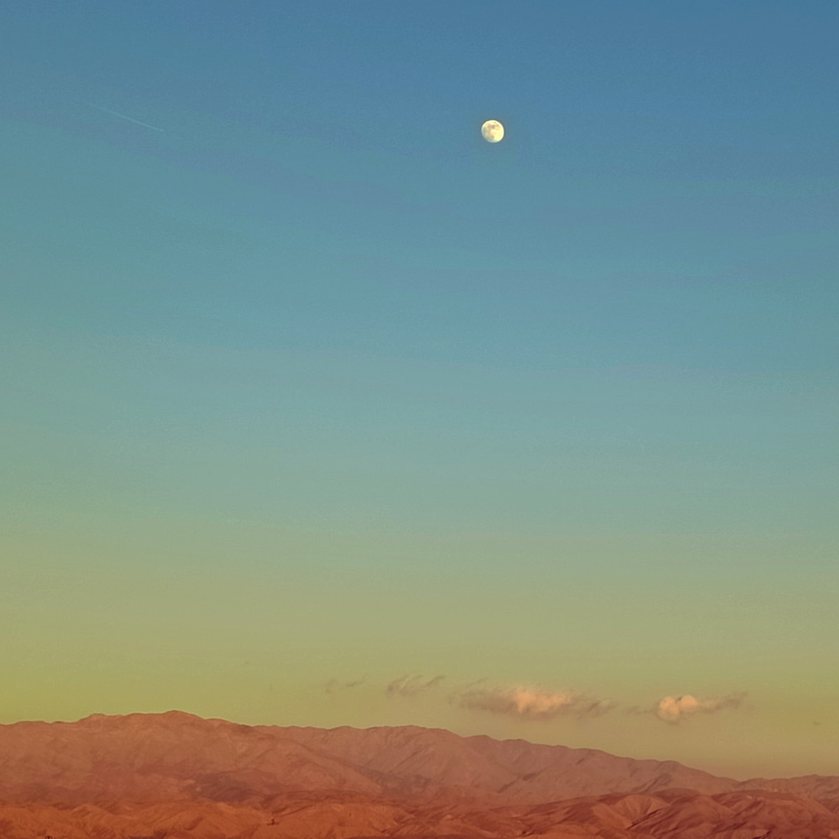 Palm Desert and The Moon by Jaime Coffey 