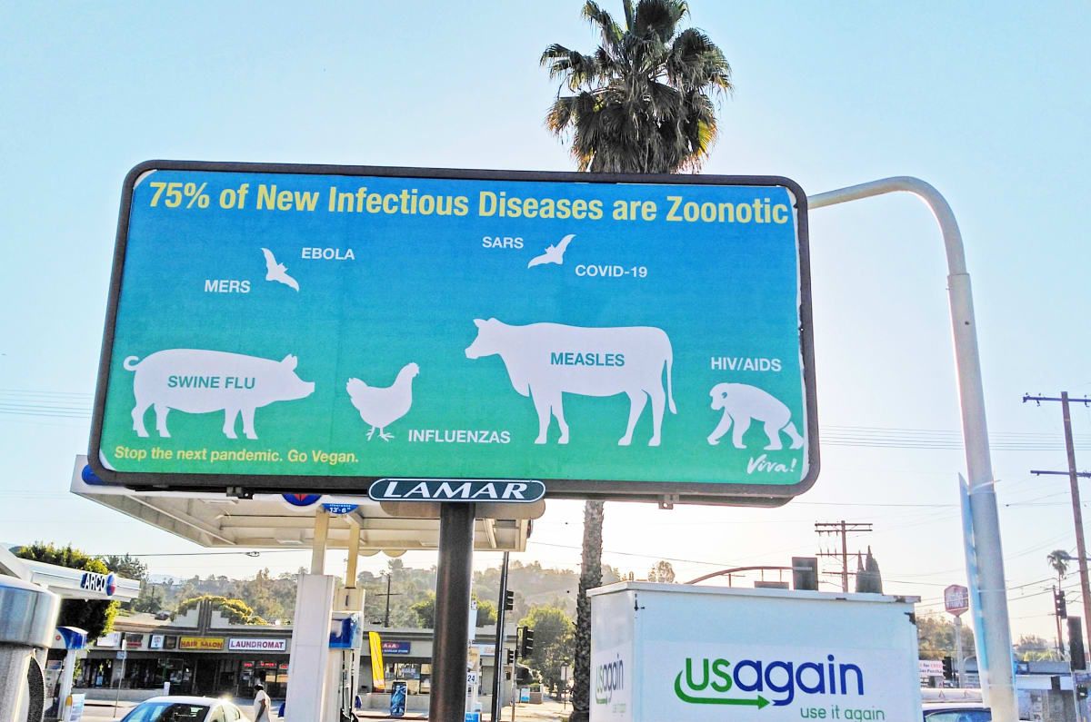 Know Your Zoonoses - Los Angeles by Karen Fiorito, Image 1.