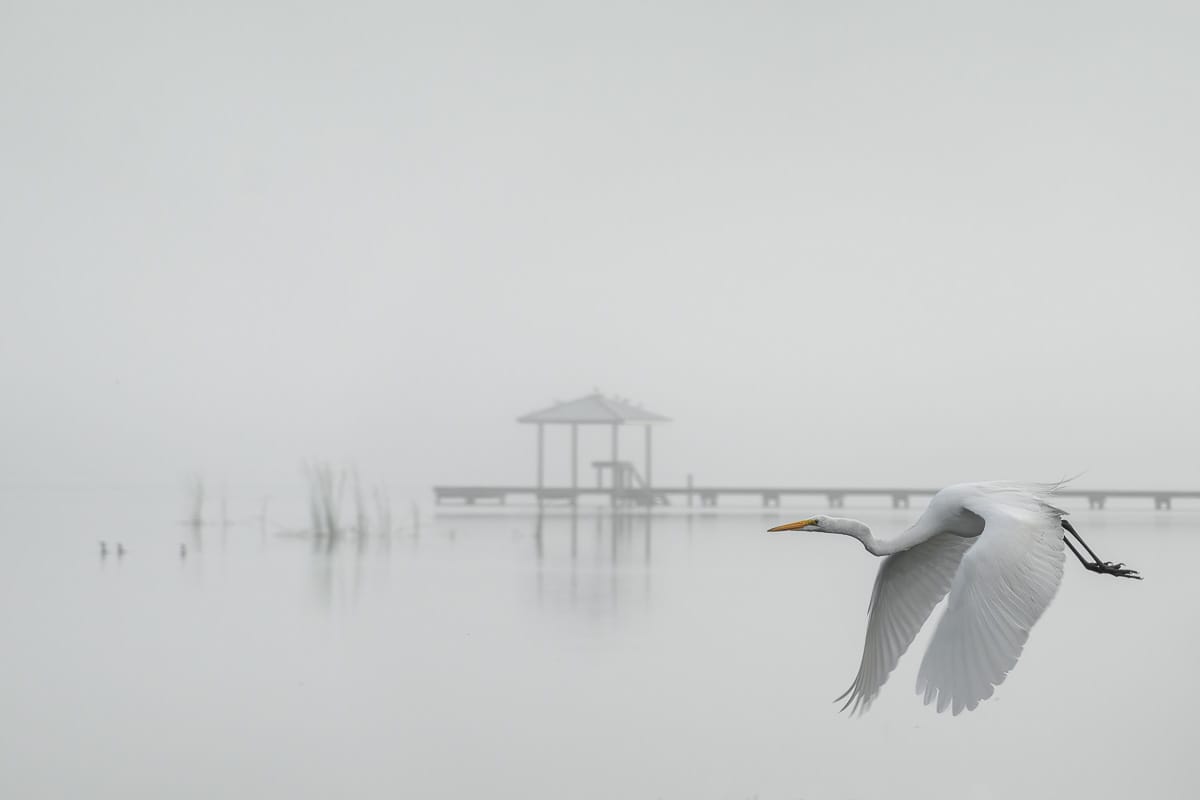 Lake Placid, Florida (2 of 9) by Mark Indig 